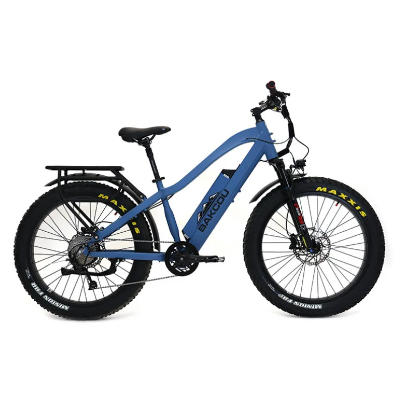 Bakcou Flatlander Fat Tire Electric Bike, 48V 750W