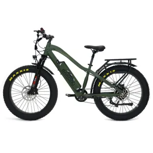 Bakcou Flatlander Fat Tire Electric Bike, 48V 750W