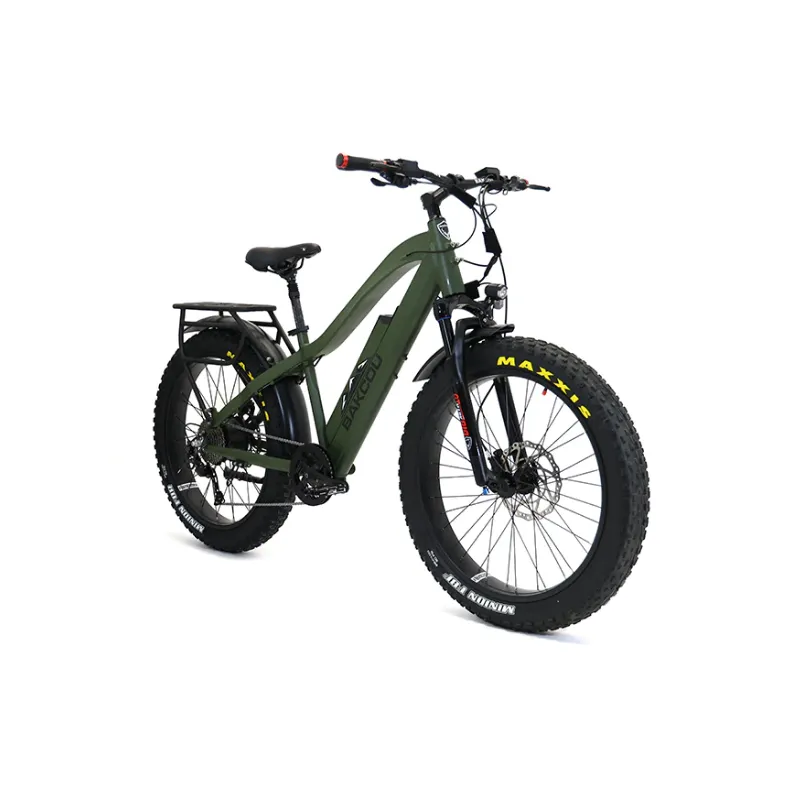 Bakcou Flatlander Fat Tire Electric Bike, 48V 750W