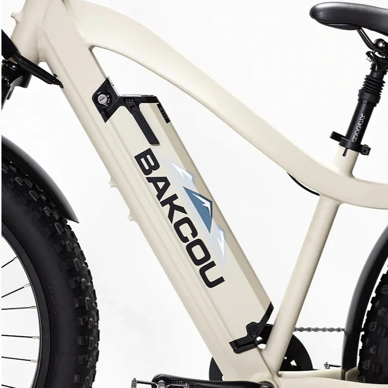 Bakcou Flatlander Fat Tire Electric Bike, 48V 750W