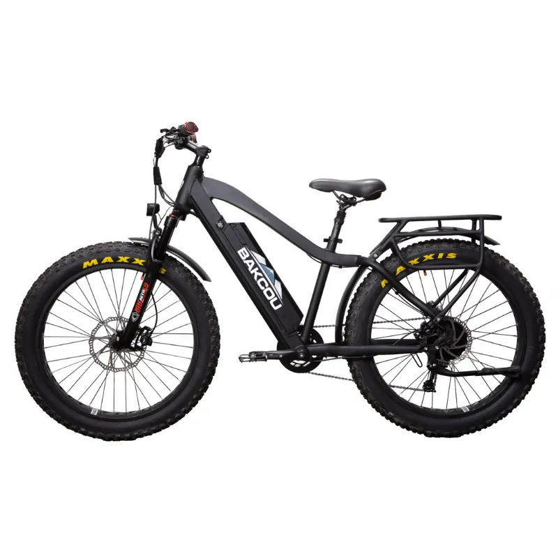 Bakcou Flatlander Fat Tire Electric Bike, 48V 750W