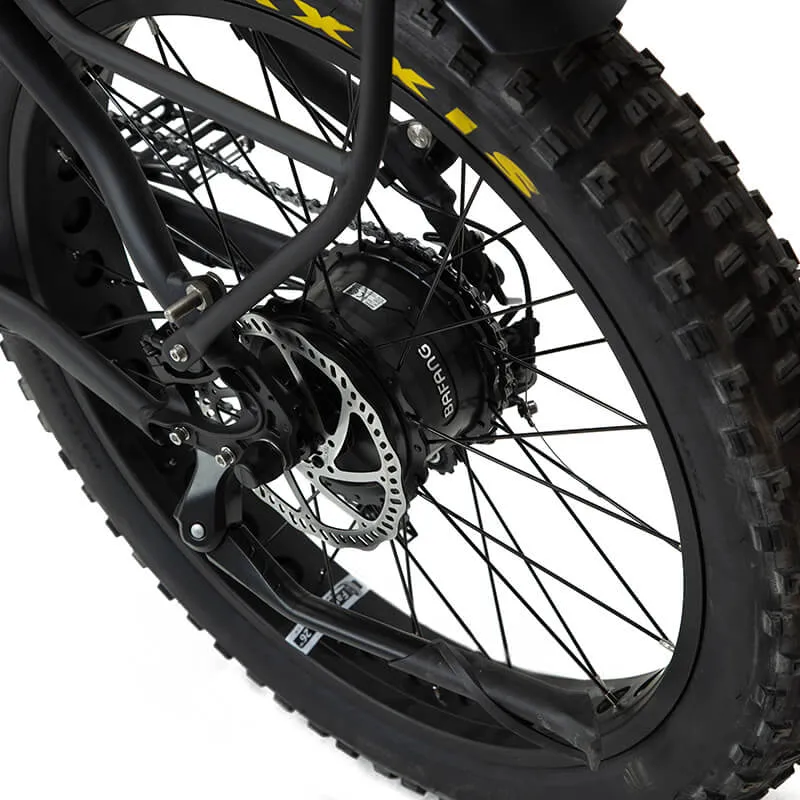 Bakcou Flatlander Fat Tire Electric Bike, 48V 750W