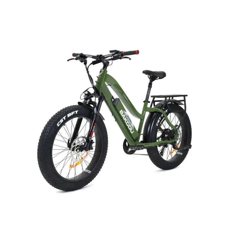 Bakcou Flatlander Step-Through (ST) 24" Electric Bike, 48V 750W