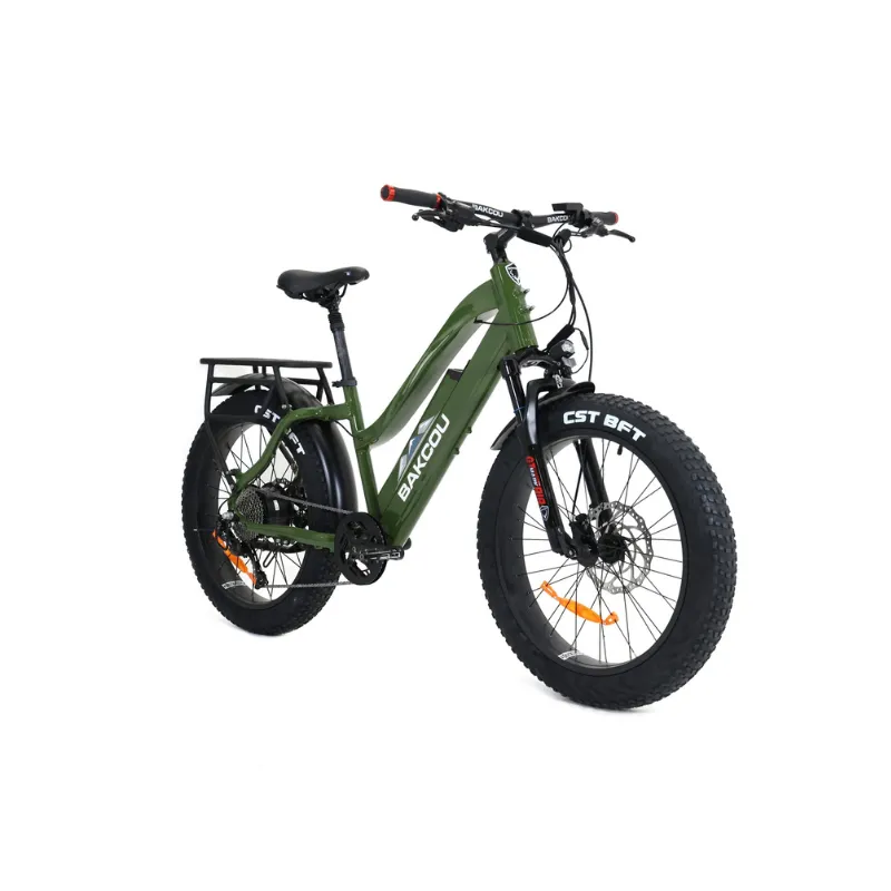 Bakcou Flatlander Step-Through (ST) 24" Electric Bike, 48V 750W