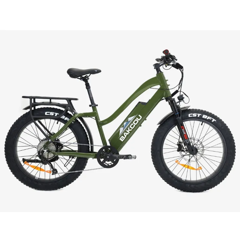 Bakcou Flatlander Step-Through (ST) 24" Electric Bike, 48V 750W