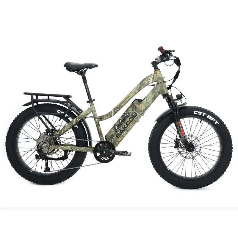 Bakcou Flatlander Step-Through (ST) 24" Electric Bike, 48V 750W