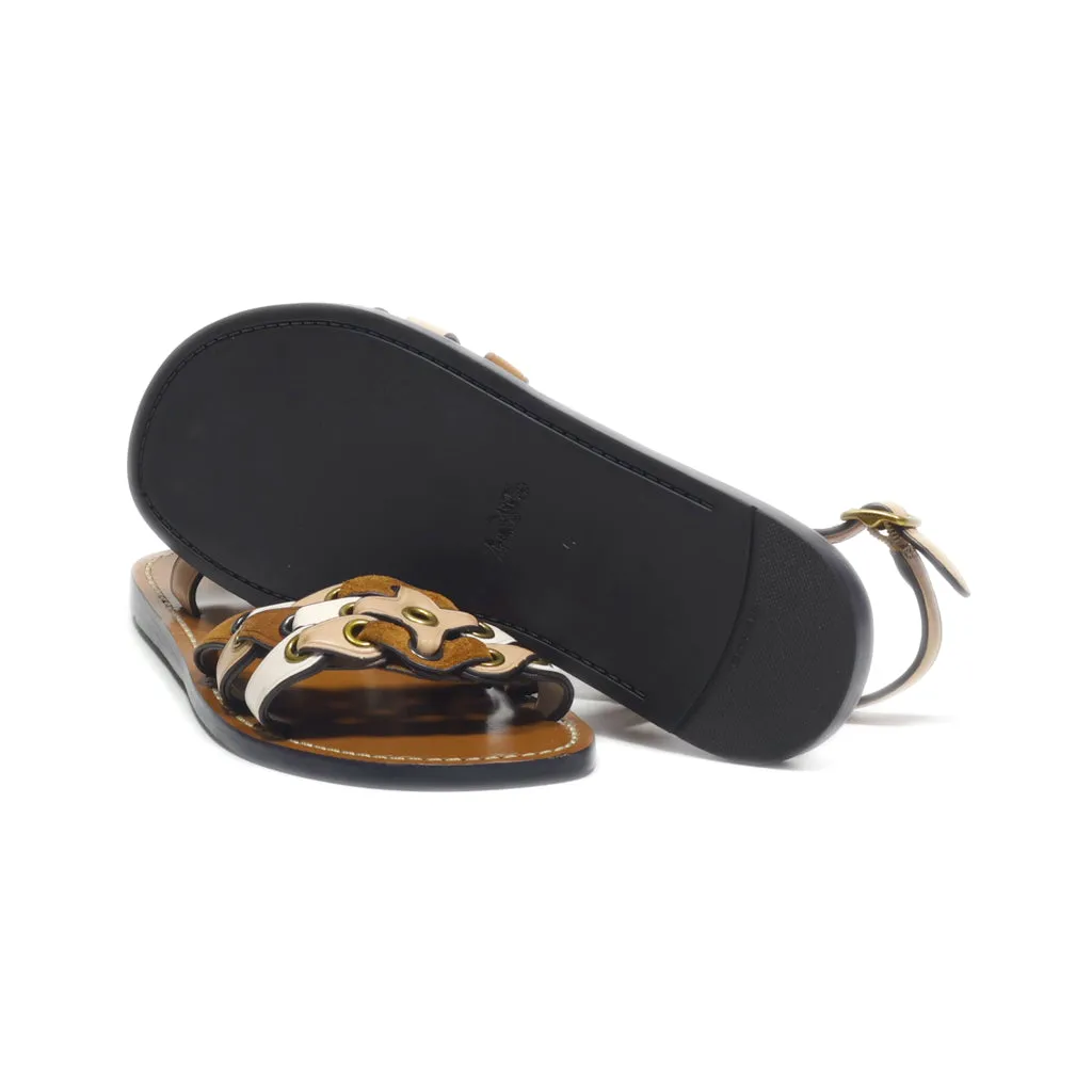 Coach Flat Sandals Leather Brown Colour For Kids