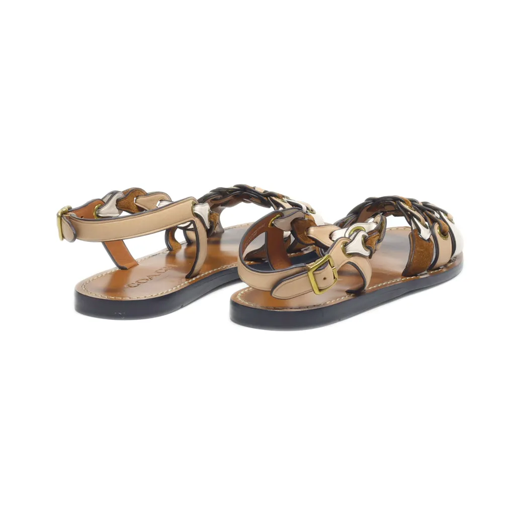 Coach Flat Sandals Leather Brown Colour For Kids