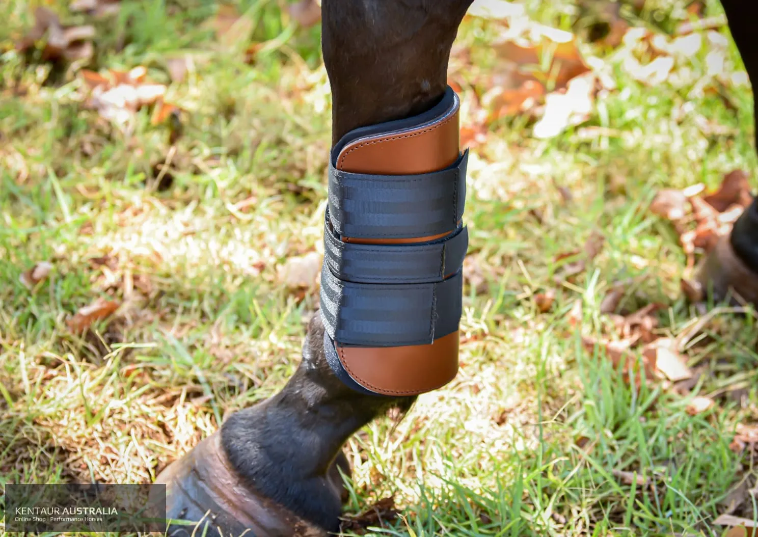 Kentaur Weighted Training Front Boots