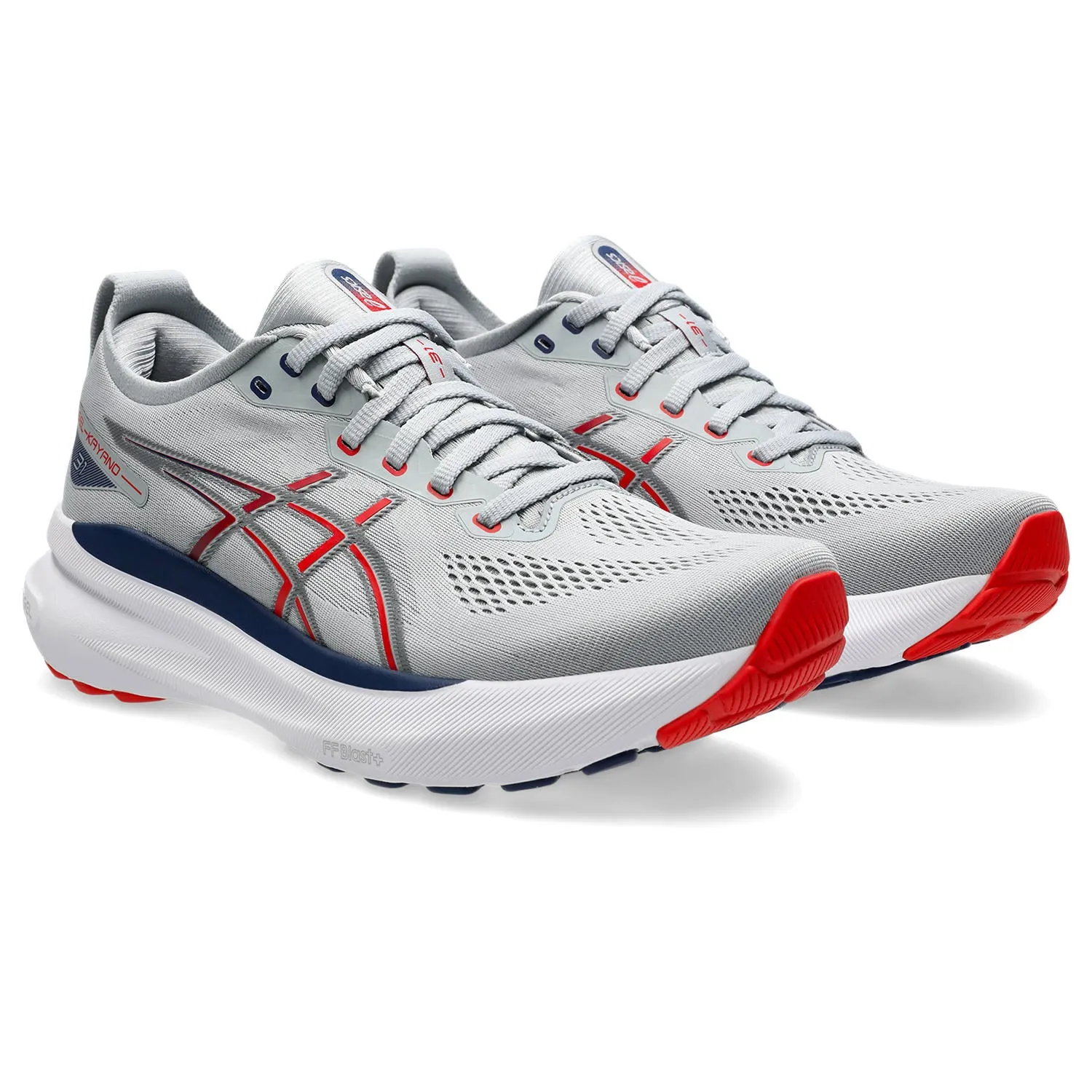 Men's Asics Gel-Kayano 31