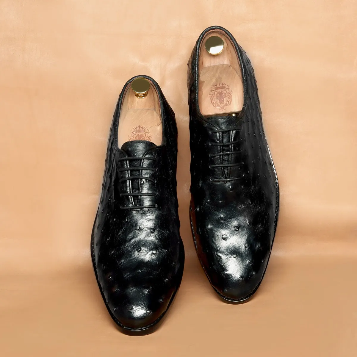 Oxford Leather Lace-Up Shoes in Black Real Ostrich Whole Cut/One-Piece